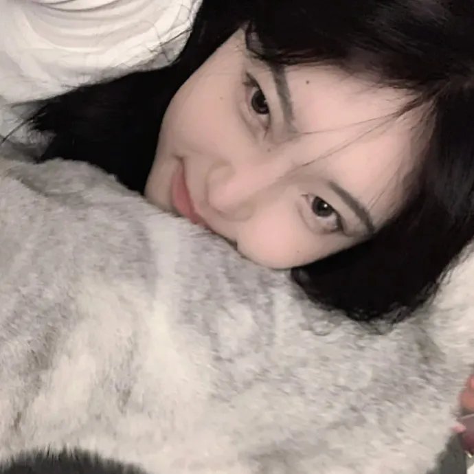 爱犬情深